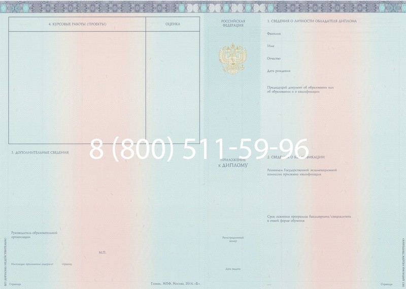 Заказать Диплом бакалавра 2014-2024 года в Раменском