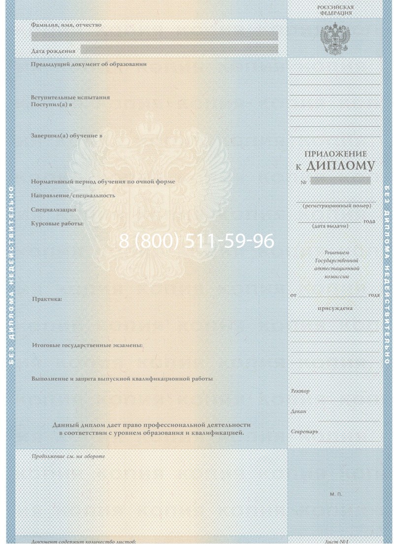 Заказать Диплом бакалавра 2003-2009 годов в Раменском Заказать Диплом бакалавра 2003-2009 годов в Раменском
