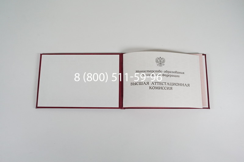 Диплом доктора наук 1995-2006 года в Раменском Диплом доктора наук 1995-2006 года в Раменском
