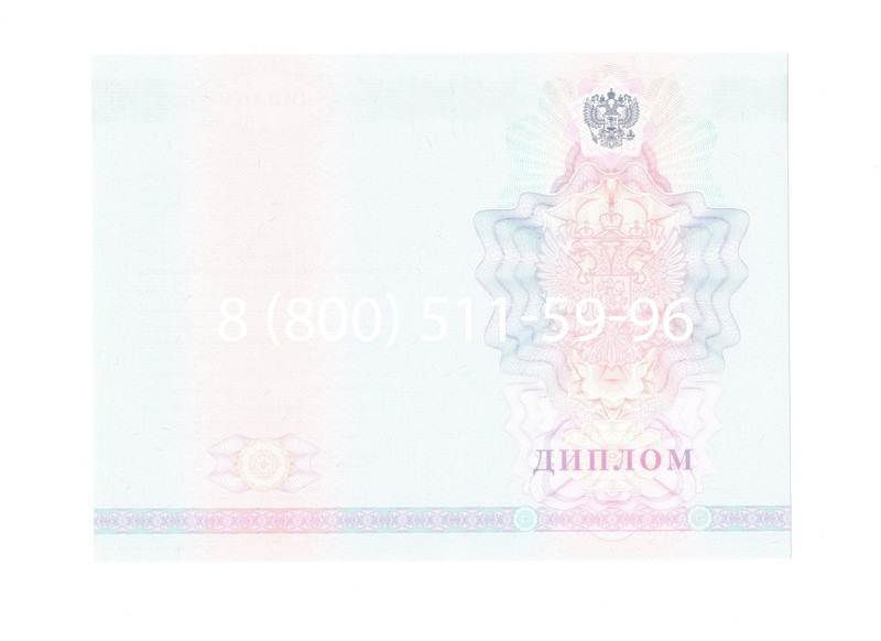Заказать Диплом колледжа 2007-2010 годов в Раменском