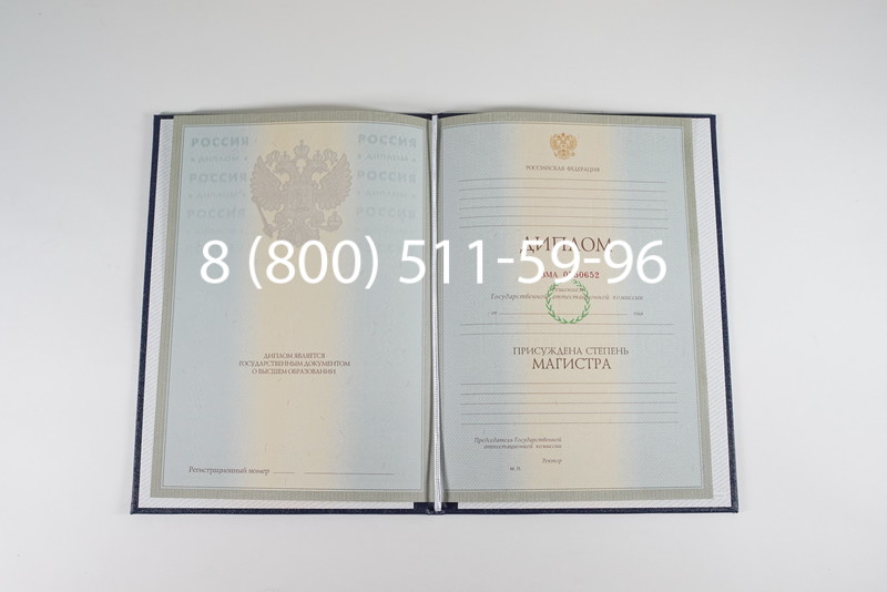 Диплом магистра 2003-2009 годов в Раменском