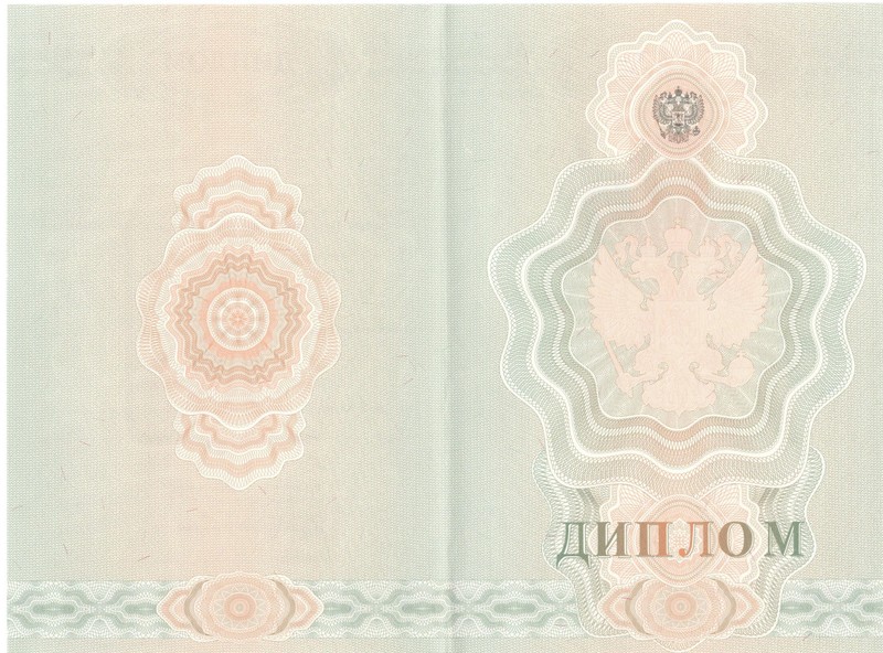 Купить Диплом о начальном образовании  2007-2009 годов в Раменском
