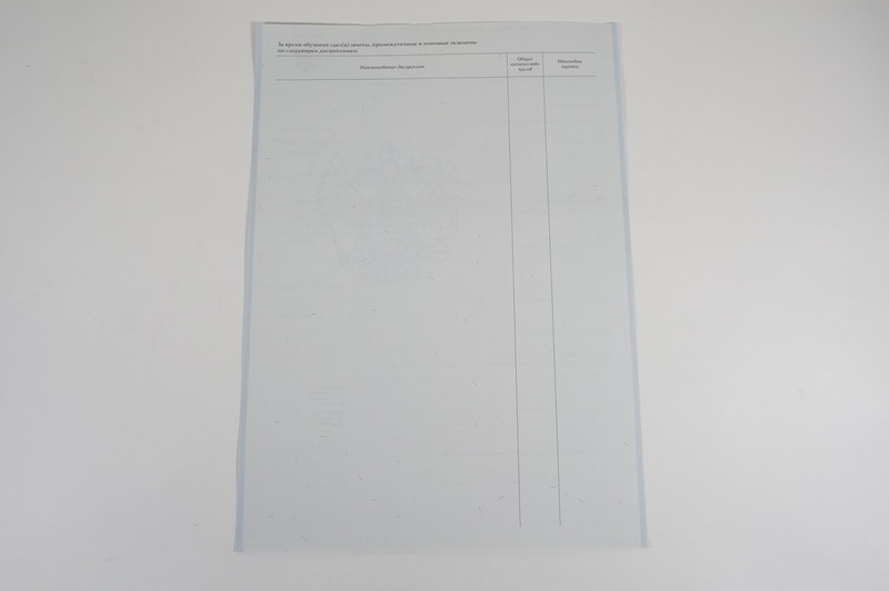 Диплом о начальном образовании  2007-2009 годов в Раменском
