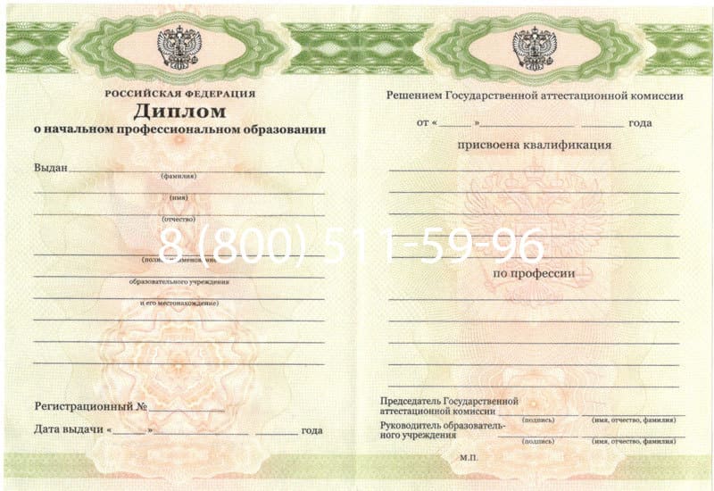Купить Диплом о начальном образовании  2010-2024 годов в Раменском