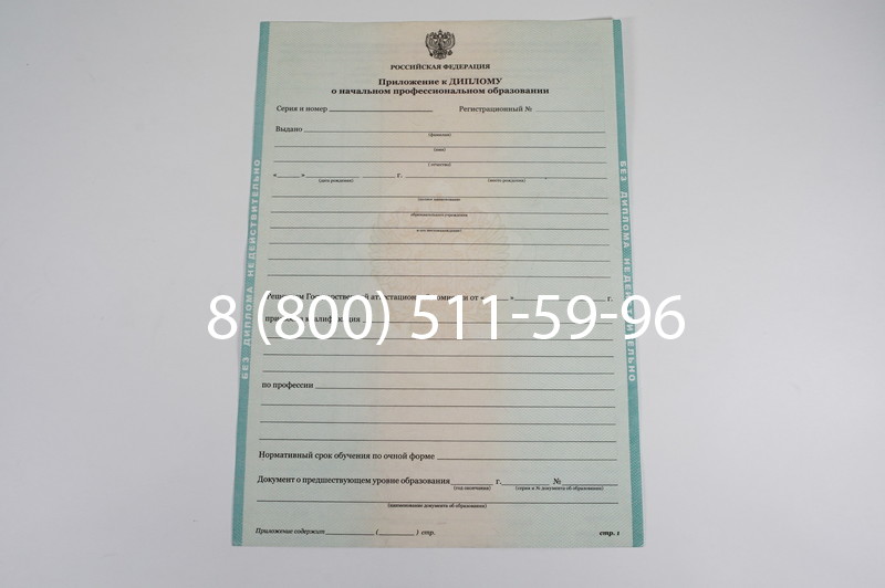 Диплом ПТУ 2014-2024 года в Раменском