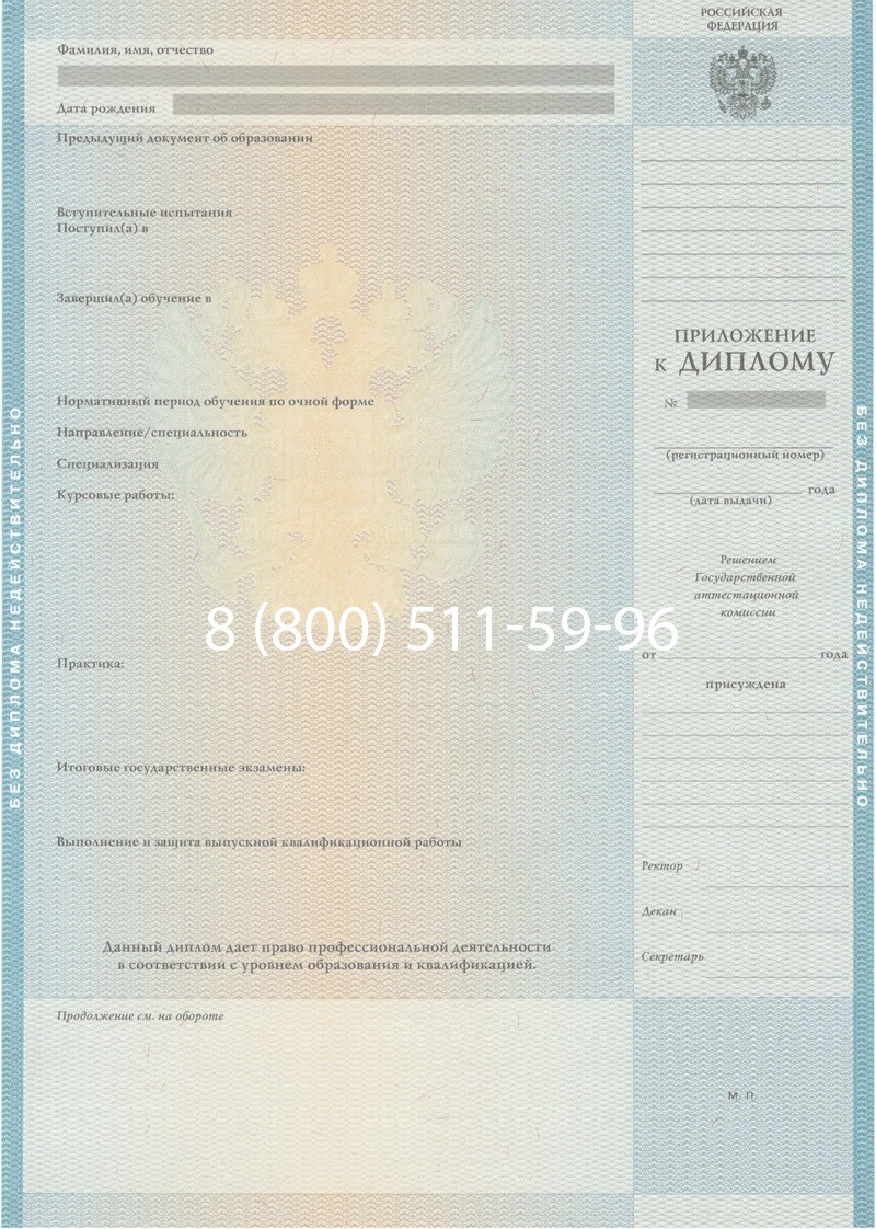 Заказать Диплом специалиста 2010-2011 годов в Раменском