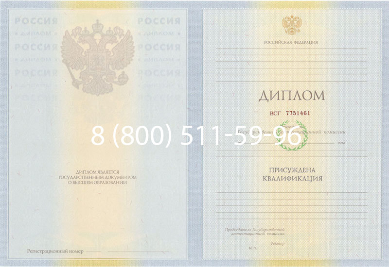 Купить Диплом специалиста 2010-2011 годов в Раменском