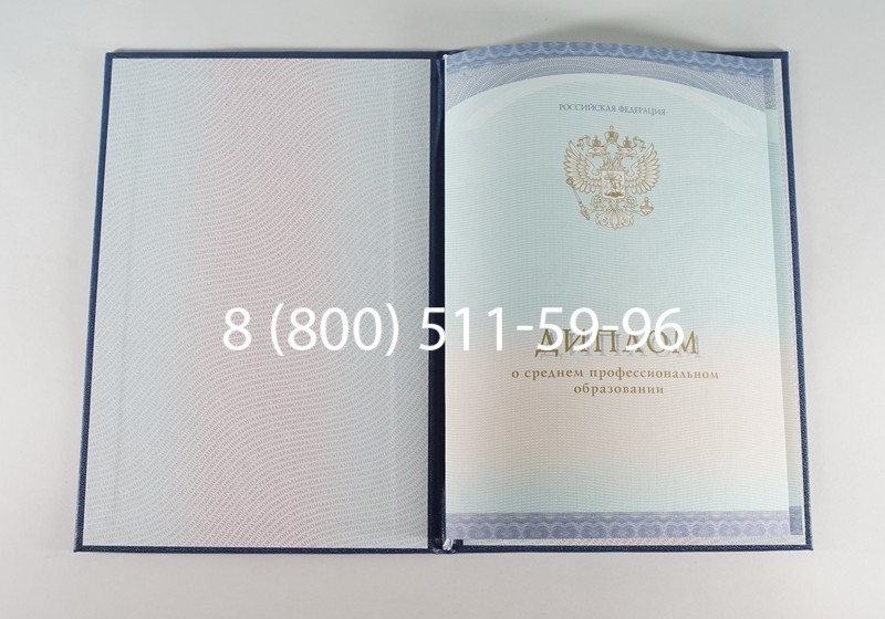 Заказать Диплом техникума (Спецбланк) 2014-2024 года в Раменском Заказать Диплом техникума (Спецбланк) 2014-2024 года в Раменском
